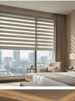 Zebra Blinds