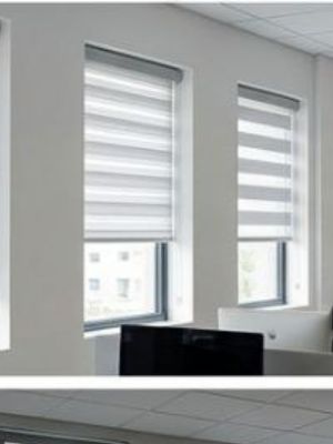Zebra Blinds